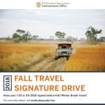travel drive flyer information with safari background