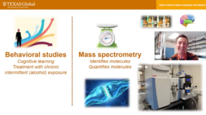 Faull's powerpoint slide reads: Behavioral studies, mass spectrometry. Accompanied with related clip art.