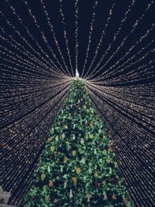 An upwards view of a huge tree with ornaments and surrounding light strings. 