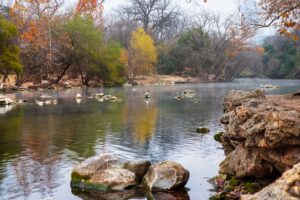 Red, yellow and green trees hang over a rocky shallow river in Zilker Park.