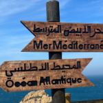 A wooden sign in arabic writing shows two different paths near a beach and clear, blue sky