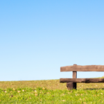 A wooden bench in a clear meadow