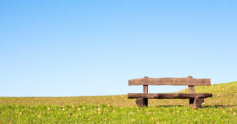 A wooden bench in a clear meadow