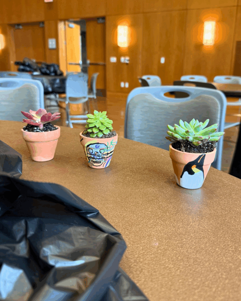 Small plant and their small pots with designs on them being shown