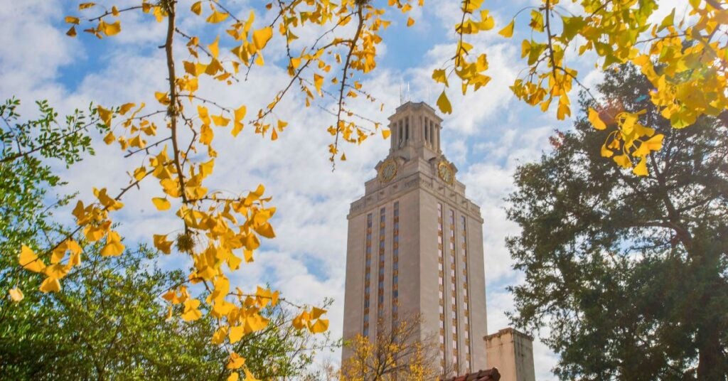 Tower with a clock face framed by golden yellow autumn leaves and a clear sky.