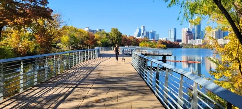Person walking a dog on a wooden boardwalk beside a calm river with autumn trees and a city skyline in the background.