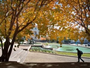 A person walks past a sunlit park fountain framed by autumn trees with golden leaves.