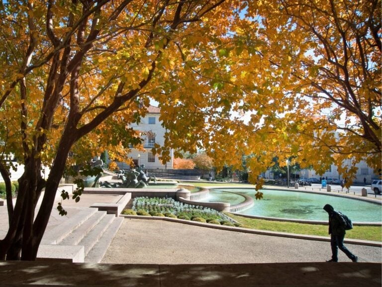 A person walks past a sunlit park fountain framed by autumn trees with golden leaves.